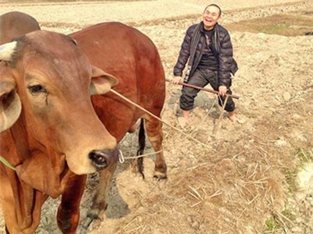 Xuân Hinh, cưỡi bò, facebook, lấy vợ, đóng phim, táo quân