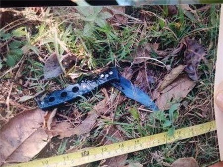 truy sát, gia lai, hung thủ, gia đình, án mạng, lời khai