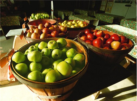 nấm-linh-chi, chơi-tết, cây-cảnh, táo-Mỹ, hàng-độc, hàng-Thái, tiền-âm-phủ, Hà-Nội, tôm-tạp-chất, gà-vịt, tăng-trọng, xăng,