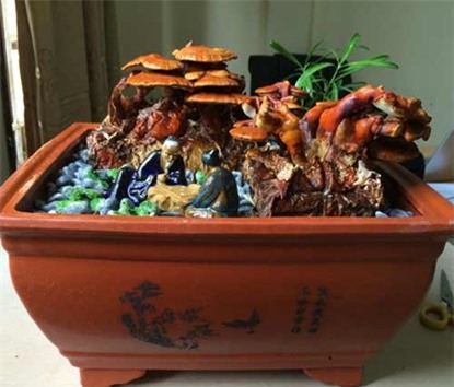 nấm-linh-chi, chơi-tết, cây-cảnh, táo-Mỹ, hàng-độc, hàng-Thái, tiền-âm-phủ, Hà-Nội, tôm-tạp-chất, gà-vịt, tăng-trọng, xăng,