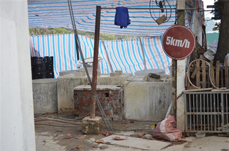 Rùng mình 'công nghệ' sản xuất mứt lẫn phân gia cầm - 15