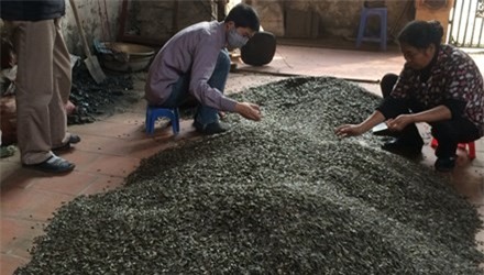 Hạt hướng dương đổ ngay trên nền gạch.