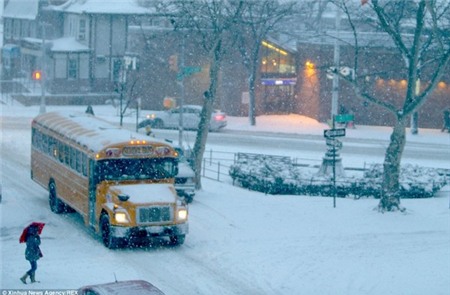 Mỹ: Hàng triệu trẻ em phải nghỉ học vì bão tuyết lớn nhất trong lịch sử 7