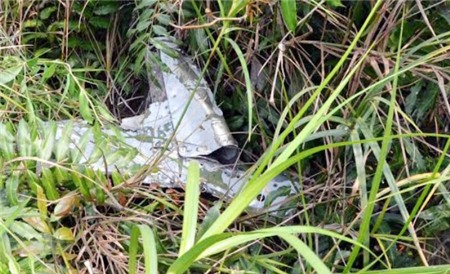 Cây cỏ xung quanh trực thăng rơi cháy rụi