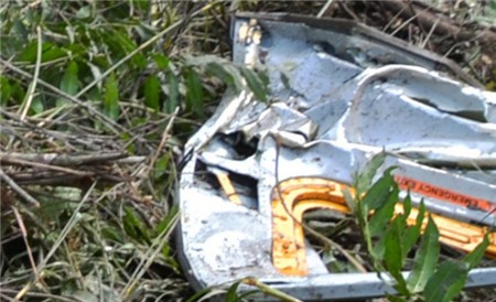 Cây cỏ xung quanh trực thăng rơi cháy rụi