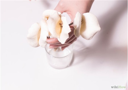 Mách nhỏ bí kíp giữ hoa tươi lâu trong Tết này - 7