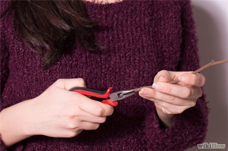 Mách nhỏ bí kíp giữ hoa tươi lâu trong Tết này - 2