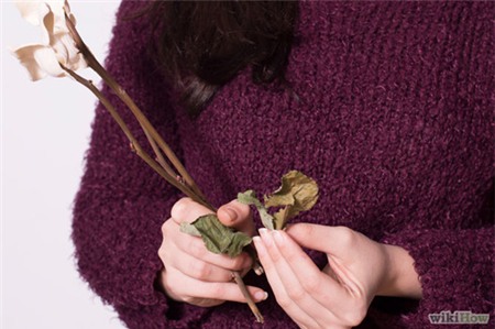 Mách nhỏ bí kíp giữ hoa tươi lâu trong Tết này - 3