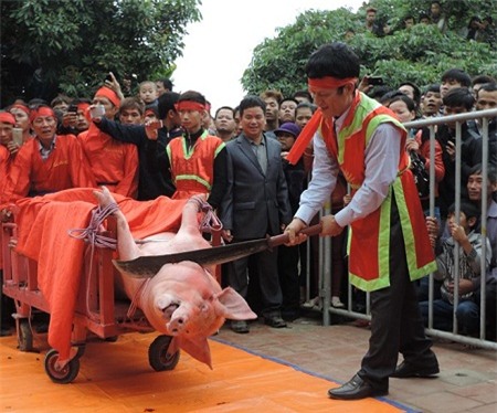 Lãnh đạo tỉnh Bắc Ninh lên tiếng về tục “chém lợn”