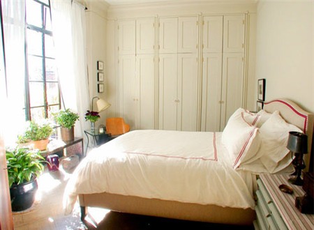 Lựa đúng cây tài lộc cho tiền rủng rẻng tràn túi - 2