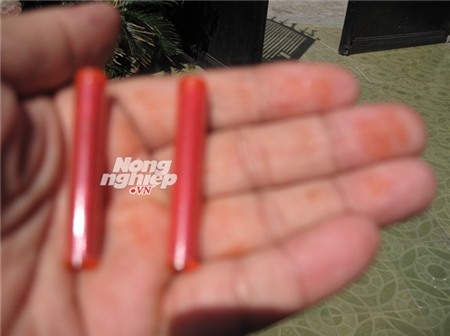 Heo chết + phẩm màu + hương liệu Trung Quốc = Heo quay bẩn