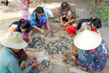 Nhái cơm con nhỏ, sau khi lột da, phơi khô chỉ còn bằng ngón tay. Do thơm ngon nên dân nhậu đã tặng cho loài khô này những cái tên khá ngộ nghĩnh nhưng không kém phần dí dỏm “cô gái chân dài”, “vũ nữ chân dài”, “kiều nữ đại gia”…... Đọc thêm tại: https://nongnghiep.vn/vu-nu-chan-dai-hot-bac-trong-mua-tet-post138460.html | NongNghiep.vn