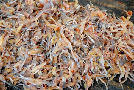 Công đoạn tiếp theo là xếp nhái thẳng hàng trên giàn phơi.... Đọc thêm tại: https://nongnghiep.vn/vu-nu-chan-dai-hot-bac-trong-mua-tet-post138460.html | NongNghiep.vn