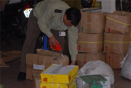 Đà-Lạt, đặc-sản, đội-lốt, khoai-tây, dâu-tây, hành-tây, mứt-tết, bắp-cải, hàng-tàu, Trung-Quốc, trá-hình, giả, lừa-đảo