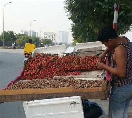 Đà-Lạt, đặc-sản, đội-lốt, khoai-tây, dâu-tây, hành-tây, mứt-tết, bắp-cải, hàng-tàu, Trung-Quốc, trá-hình, giả, lừa-đảo