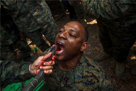 Uống máu rắn, nhai bọ cạp trong tập trận lớn nhất Đông Nam Á
