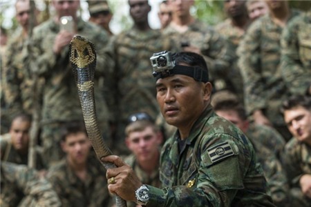 Uống máu rắn, nhai bọ cạp trong tập trận lớn nhất Đông Nam Á