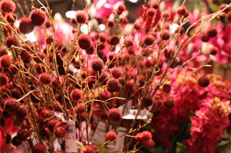 Nhà nổi bật nhất Tết này nhờ bình đẹp, hoa sang - 5