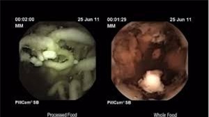 Hình ảnh được cho là cắt từ video trong nghiên cứu nói trên.