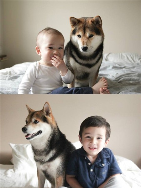 Tan chảy với hình ảnh đáng yêu của cậu bé gốc Nhật Bản bên cún cưng 1