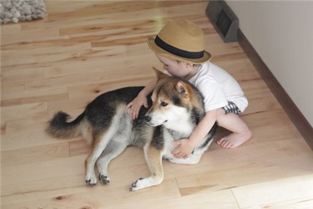 Tan chảy với hình ảnh đáng yêu của cậu bé gốc Nhật Bản bên cún cưng 11