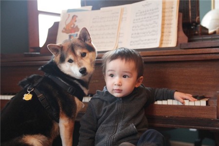 Tan chảy với hình ảnh đáng yêu của cậu bé gốc Nhật Bản bên cún cưng 14