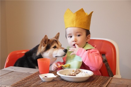 Tan chảy với hình ảnh đáng yêu của cậu bé gốc Nhật Bản bên cún cưng 15