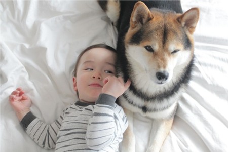 Tan chảy với hình ảnh đáng yêu của cậu bé gốc Nhật Bản bên cún cưng 18