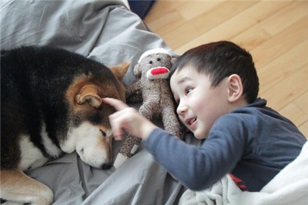 Tan chảy với hình ảnh đáng yêu của cậu bé gốc Nhật Bản bên cún cưng 2