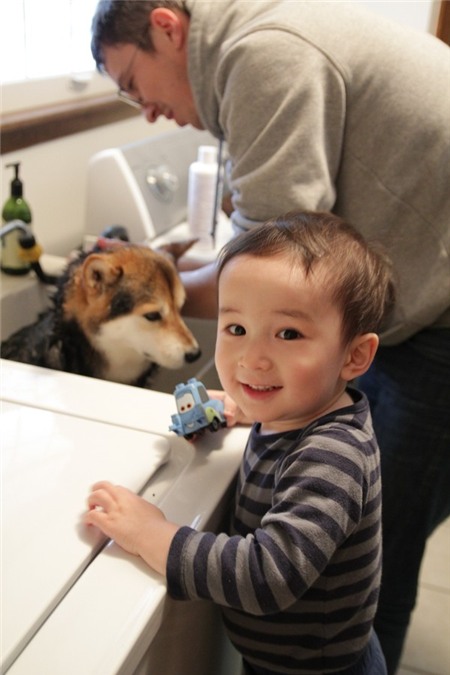 Tan chảy với hình ảnh đáng yêu của cậu bé gốc Nhật Bản bên cún cưng 20