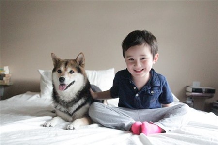 Tan chảy với hình ảnh đáng yêu của cậu bé gốc Nhật Bản bên cún cưng 22