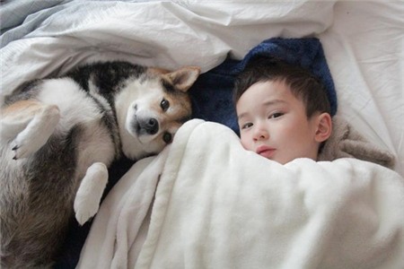 Tan chảy với hình ảnh đáng yêu của cậu bé gốc Nhật Bản bên cún cưng 23