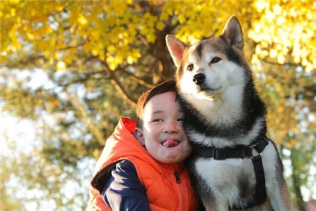 Tan chảy với hình ảnh đáng yêu của cậu bé gốc Nhật Bản bên cún cưng 24