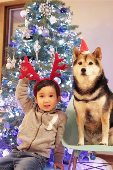 Tan chảy với hình ảnh đáng yêu của cậu bé gốc Nhật Bản bên cún cưng 25