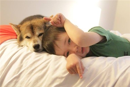 Tan chảy với hình ảnh đáng yêu của cậu bé gốc Nhật Bản bên cún cưng 26