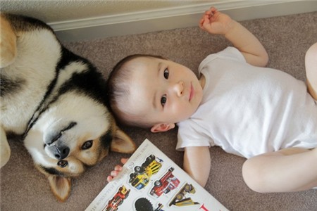 Tan chảy với hình ảnh đáng yêu của cậu bé gốc Nhật Bản bên cún cưng 7