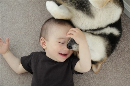 Tan chảy với hình ảnh đáng yêu của cậu bé gốc Nhật Bản bên cún cưng 8