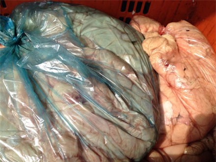 đồ-thối, thực-phẩm-bẩn, Tết, ôi-thiu, hóa-chất, hàng-Tết, lòng-lợn, mỡ-bẩn, khách-hàng, đầu-độc, công-nghệ