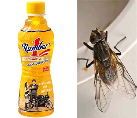 tân-hiệp-phát, nước-giải-khát, con-ruồi, nước-giải-khát, nước-ngọt, sự-cố-truyền-thông, doanh-nghiệp, hương-hiệu