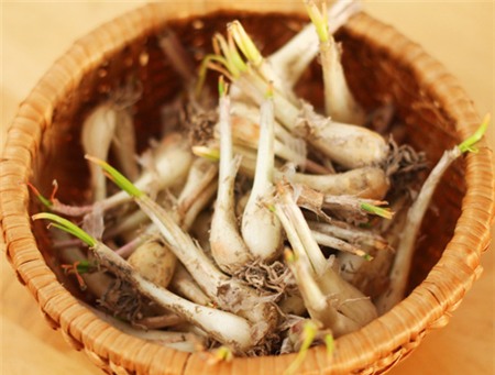 Cách làm củ kiệu ngâm giòn giòn ngày Tết - 1