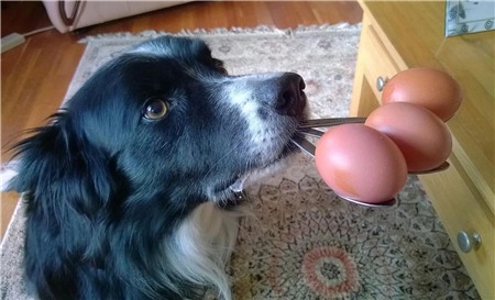 Dùng thìa giữ thăng bằng những quả trứng.