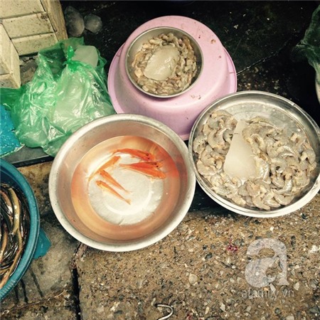 Nhộn nhịp sắm cá ngoại để tiễn ông Công ông Táo về Trời 1