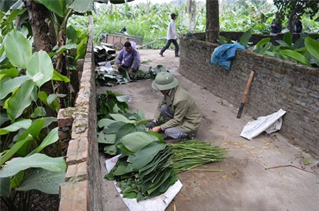Làng lá dong tất bật ngày giáp Tết - 5