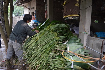 Làng lá dong tất bật ngày giáp Tết - 6