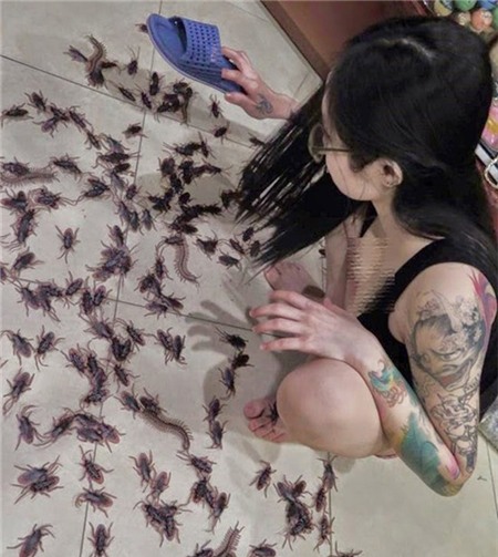 Hình ảnh khó đỡ của cô nàng cá tính