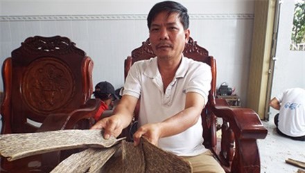 trầm-hương, Khánh-Hòa, phu-trầm, kỳ-nam, gỗ-quý, gỗ-sưa, kỳ-bạch, kỳ-đồng, dó-bầu