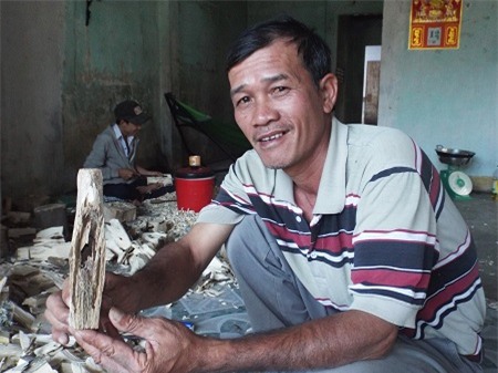 trầm-hương, Khánh-Hòa, phu-trầm, kỳ-nam, gỗ-quý, gỗ-sưa, kỳ-bạch, kỳ-đồng, dó-bầu