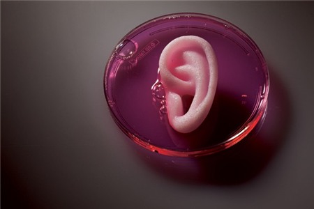 Công nghệ in 3D được áp dụng để tạo những bộ phận mới như tai, mũi, gân… thay thế các thành phần bị suy hỏng.