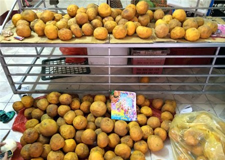 Buôn-bán, đặc-sản, đặc-sản-Tết, Tết-nguyên-đán, bưởi-Diễn, cam-Cao-Phong, ế-ẩm, thua-lỗ, nợ-nần