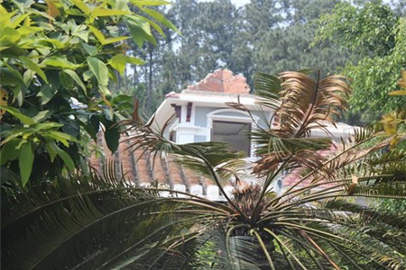 biệt thự; đại gia; trái phép; thiếu tướng; Hải Vân; Đà Nẵng; Phan Như Thạch